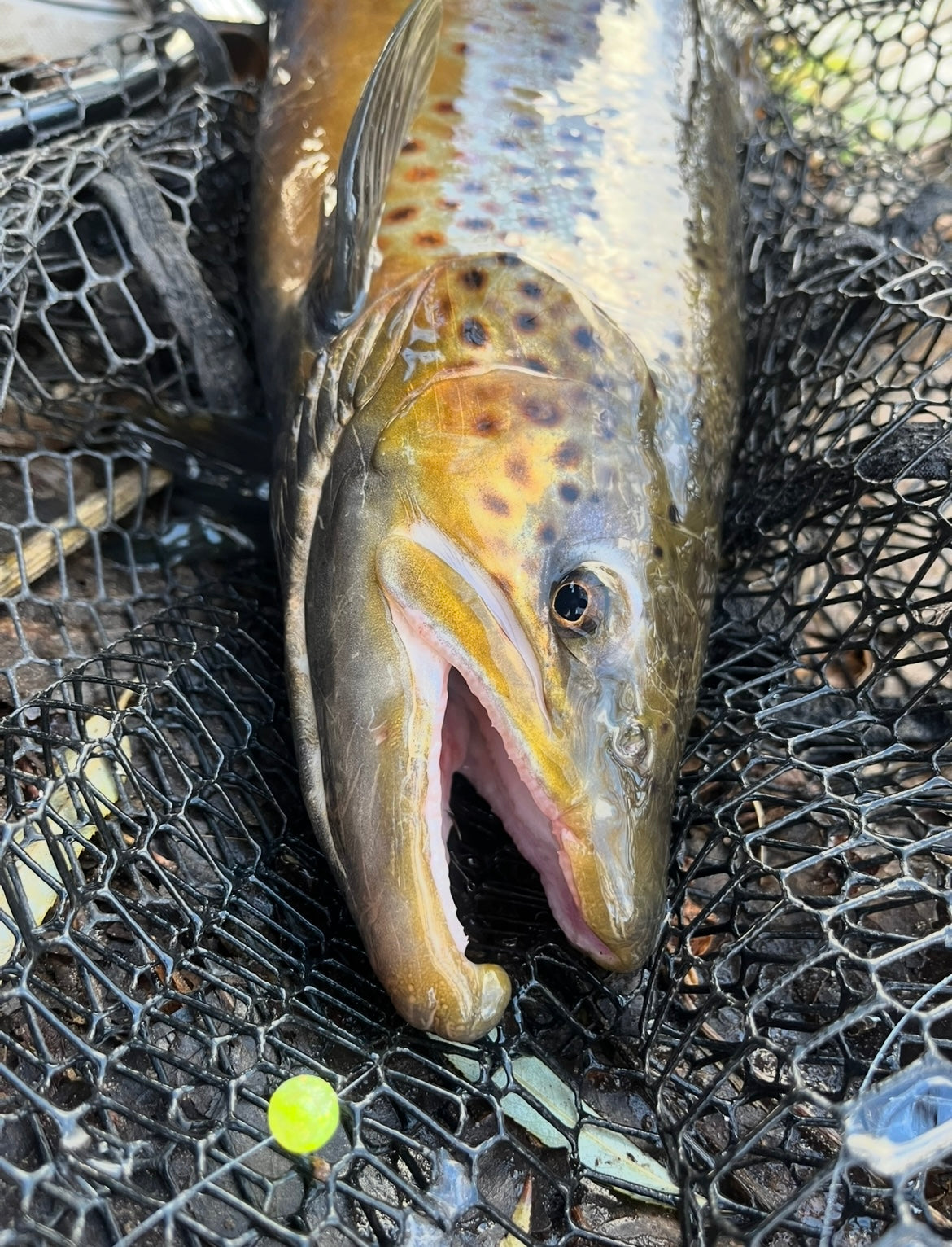 Is there REALLY any “secret” fishing spots left?