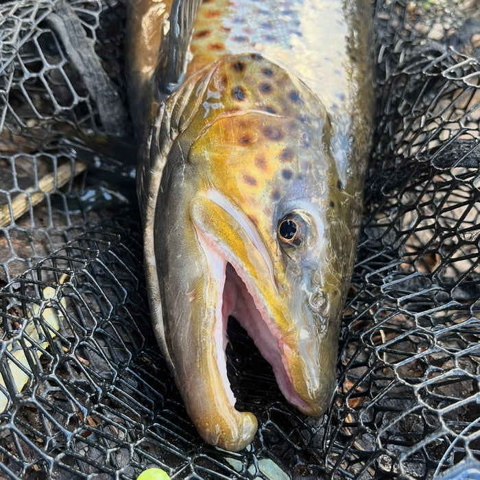 Is there REALLY any “secret” fishing spots left?