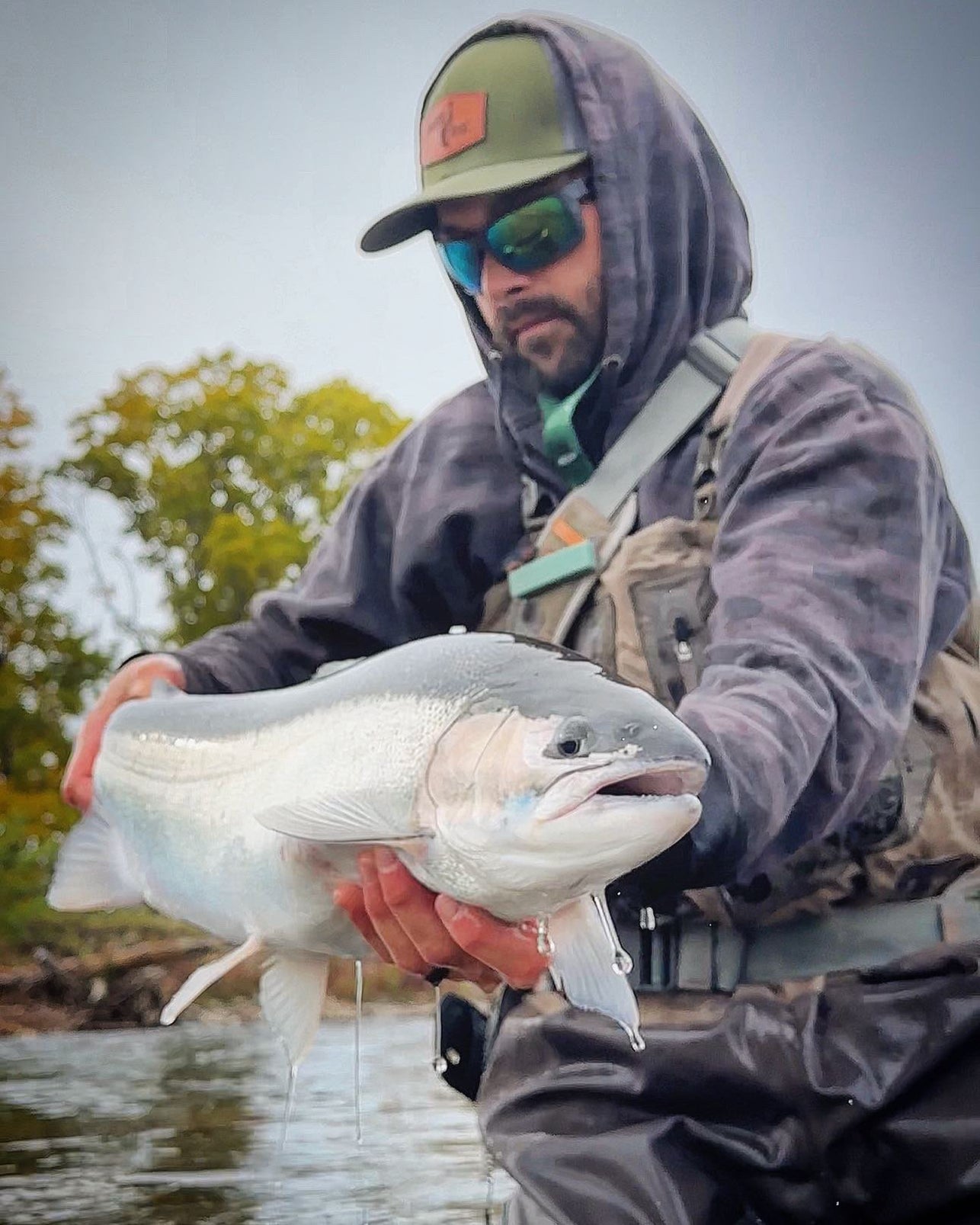 Fishing Trophy Wall | Steelhead Fishing Success | Get Death Roe — Death ...