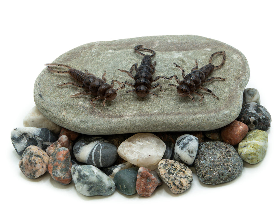 Sinister Stone - Natural Brown