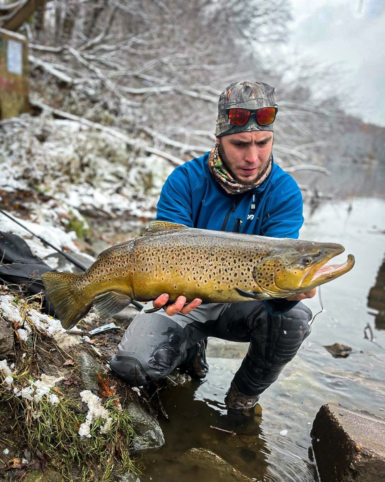 Fishing Trophy Wall | Steelhead Fishing Success | Get Death Roe — Death ...