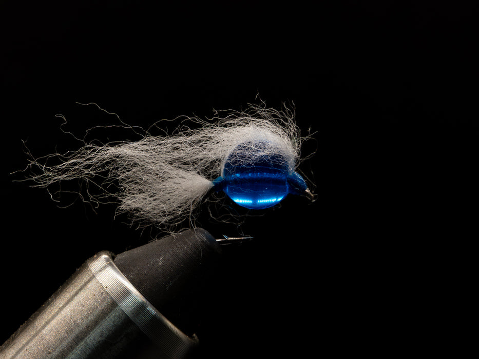 Death Roe Egg Fly - Scampi