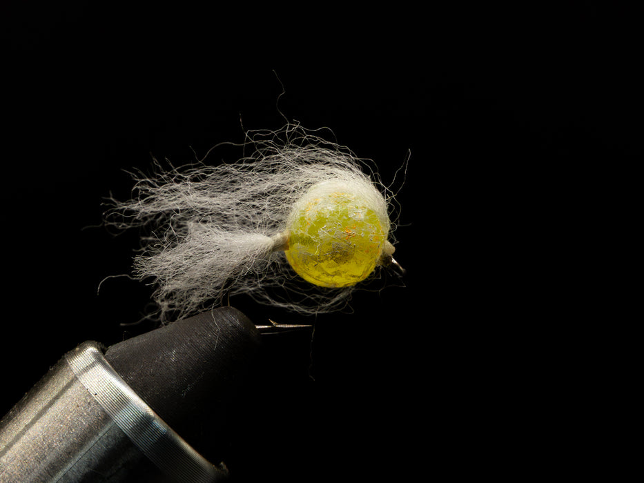 Death Roe Egg Fly - MOAB